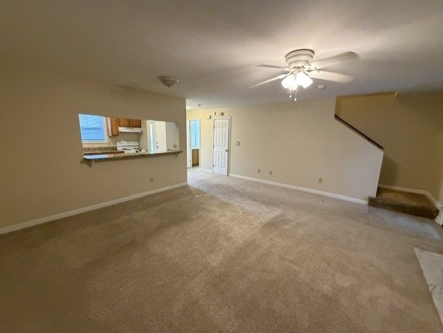 Gallery Photo 4